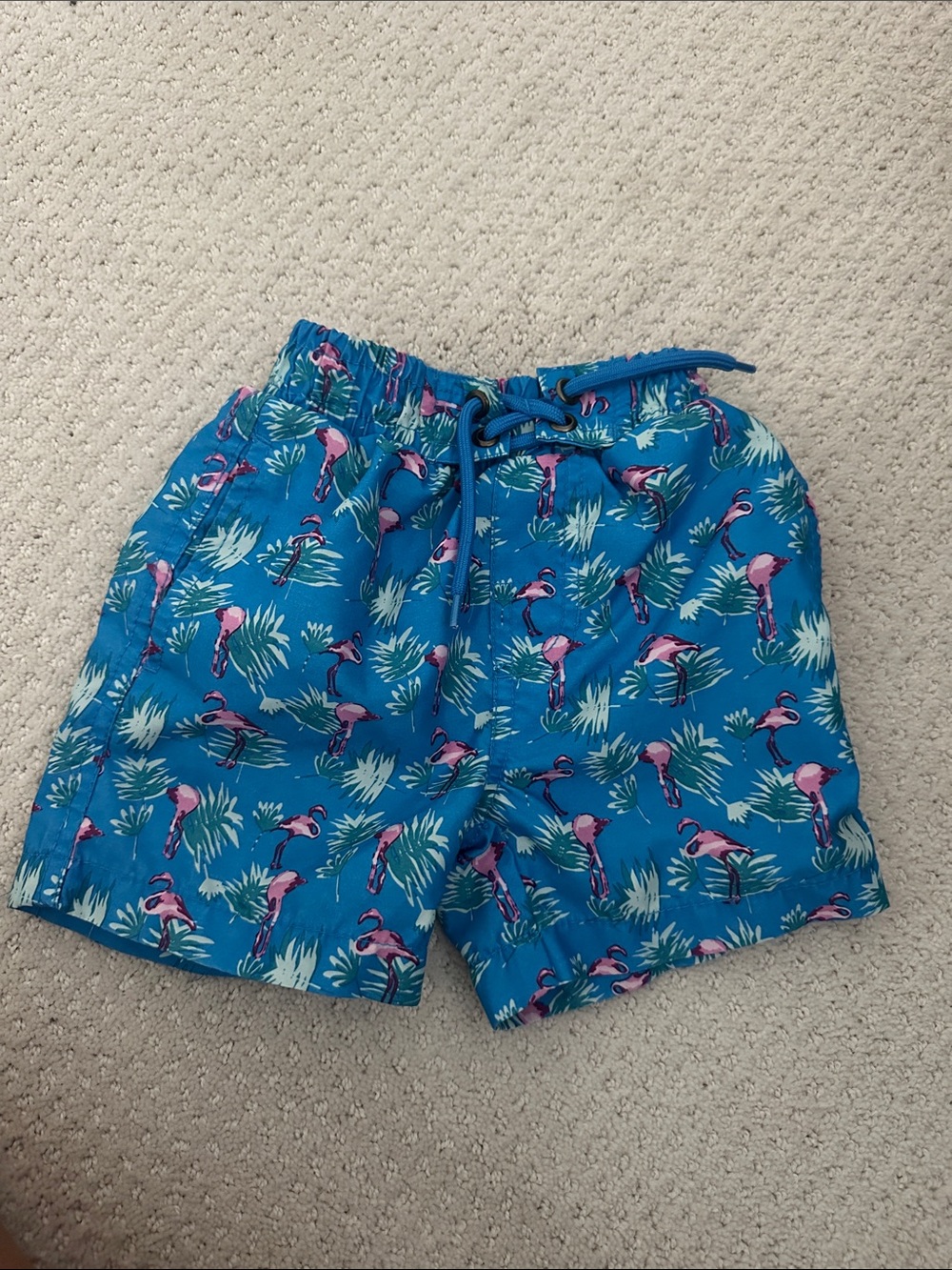Kids Blue Flamingo Print Swim Trunks with Drawstring Waist